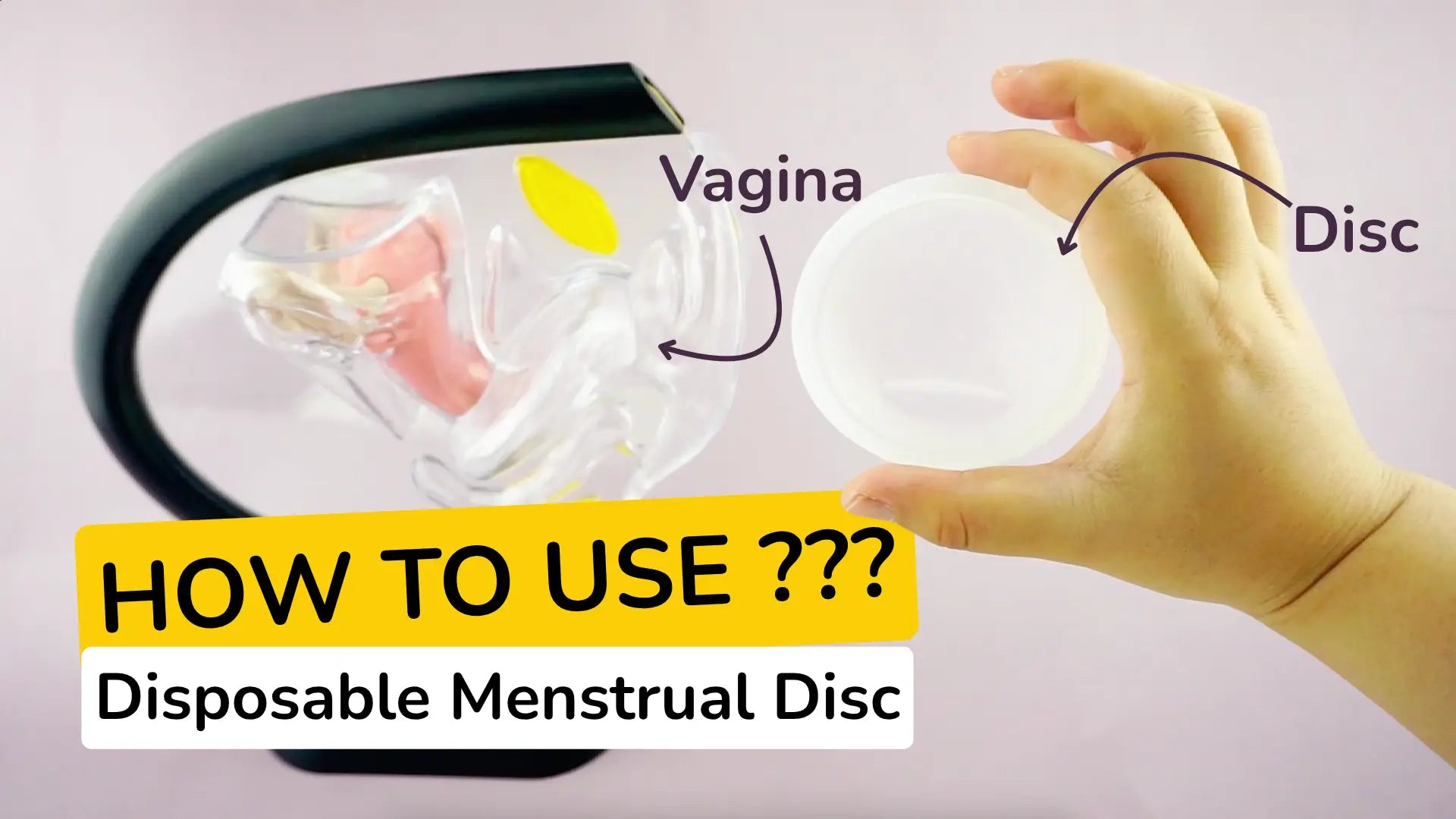 Laden Sie das Video: Wie funktioniert die Cup&amp;Co Menstruationsscheibe?